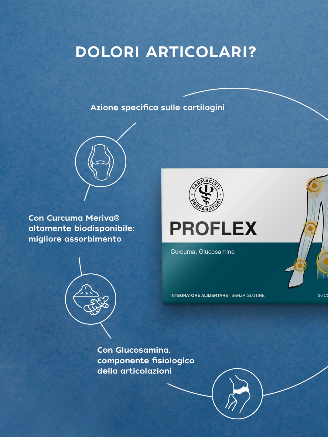 PROFLEX