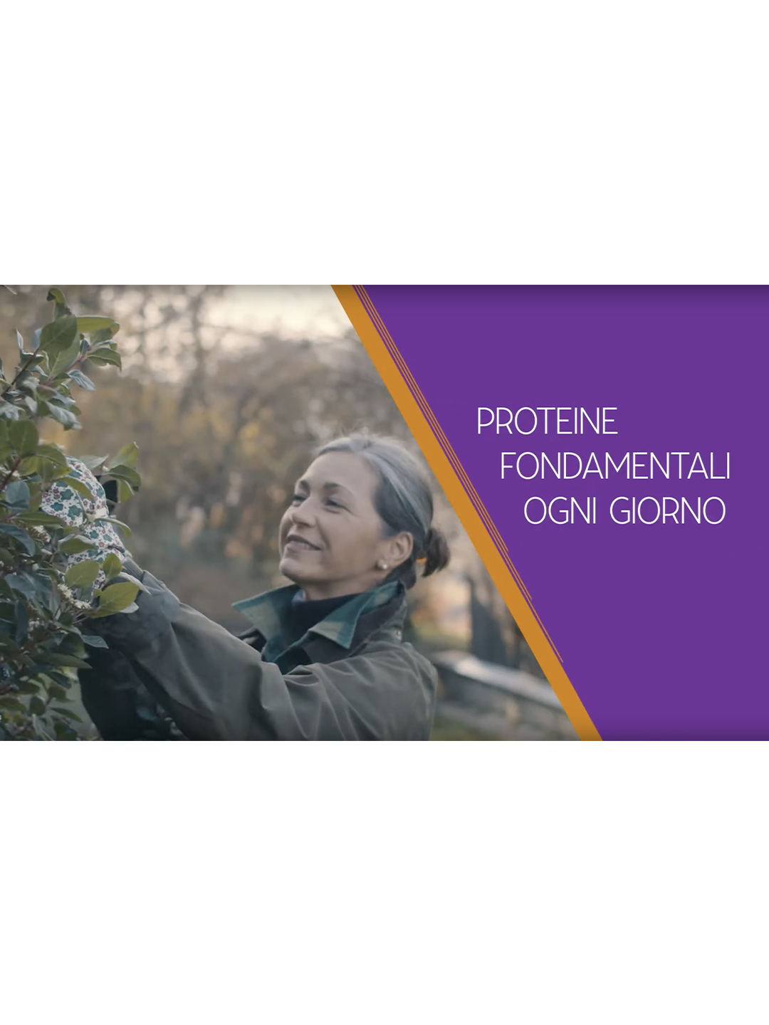 PROTEINE EVERYDAY VEGETALI – Farmacisti Preparatori